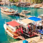 boats in a harbor with boats
