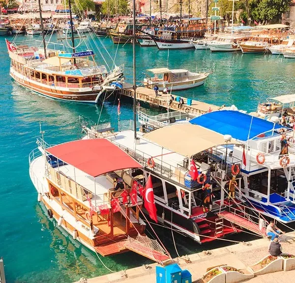 boats in a harbor with boats