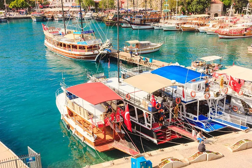 boats in a harbor with boats